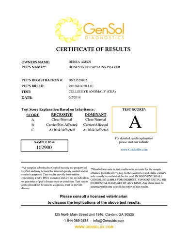 CaptainTestCEA-nc vxvGensolResult102900.pdf.jpg